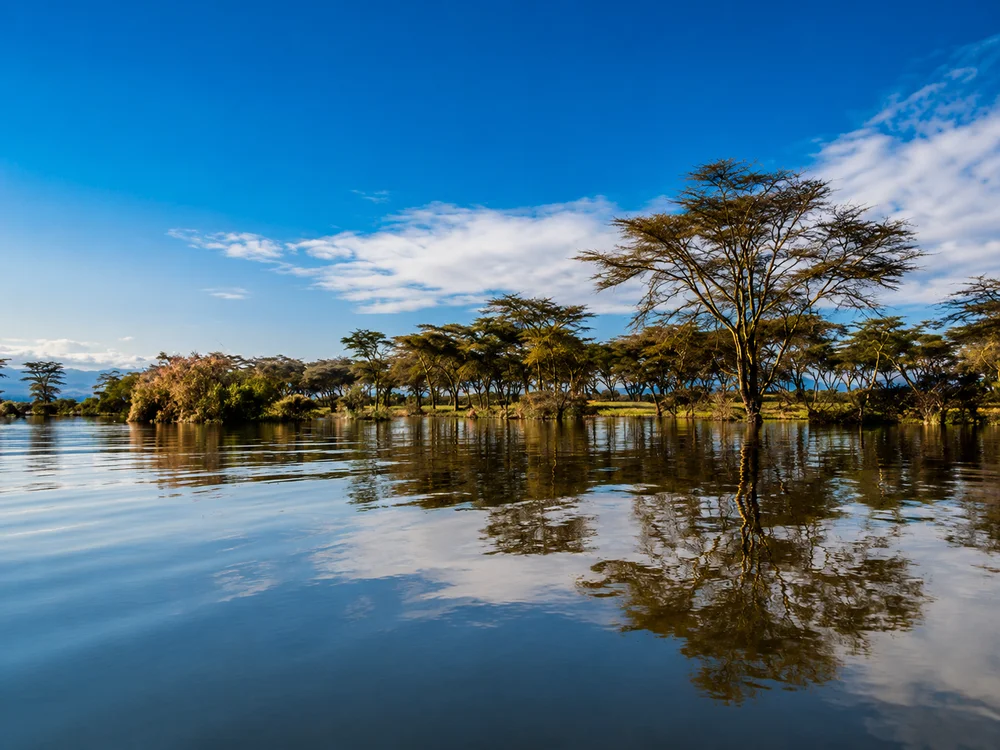 Entre agua y sabana