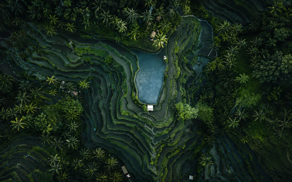 Bali ancestral
