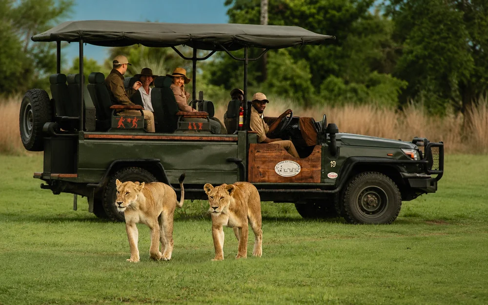 Safari Privado